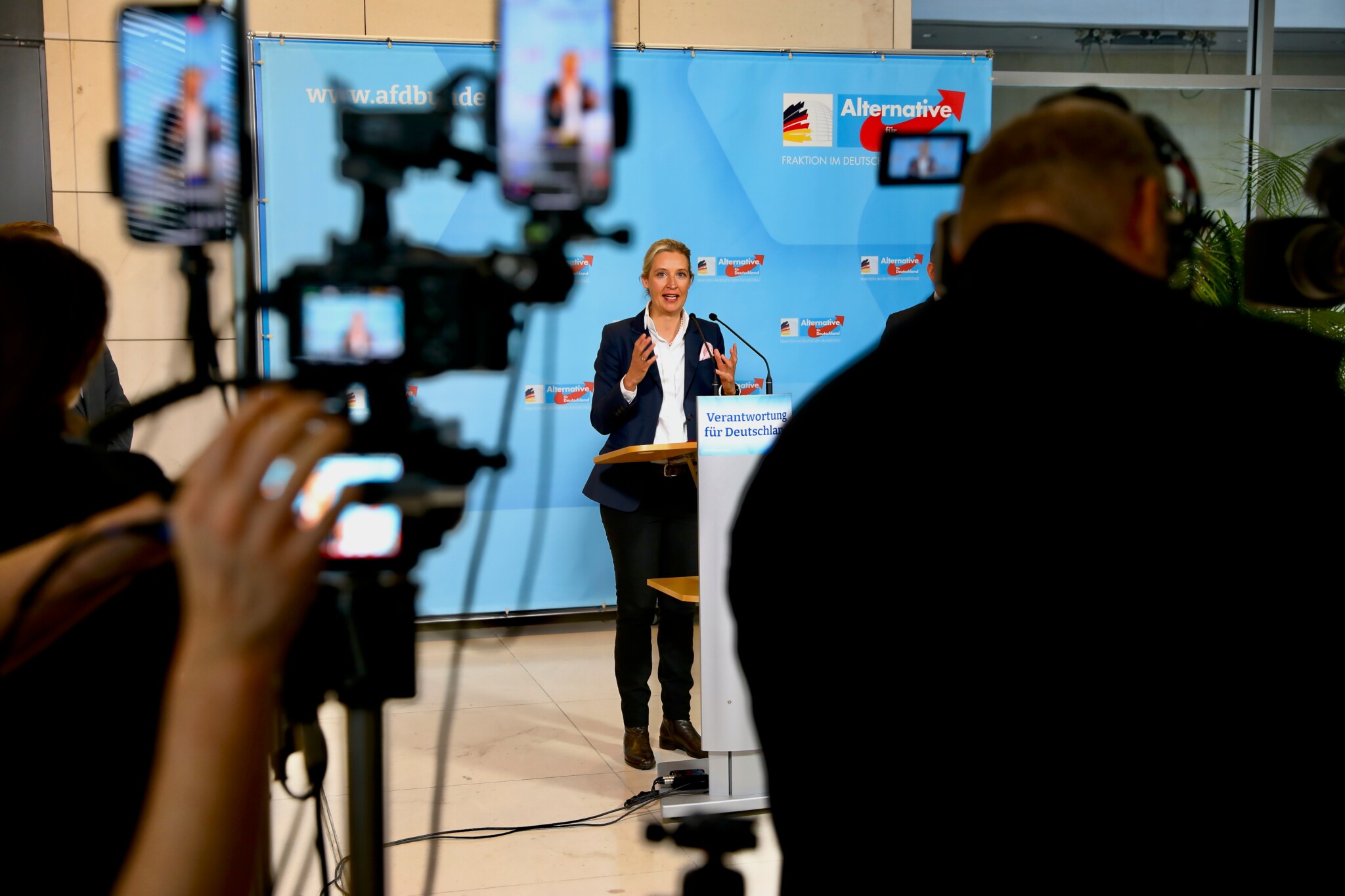 Germany’s War on Democracy