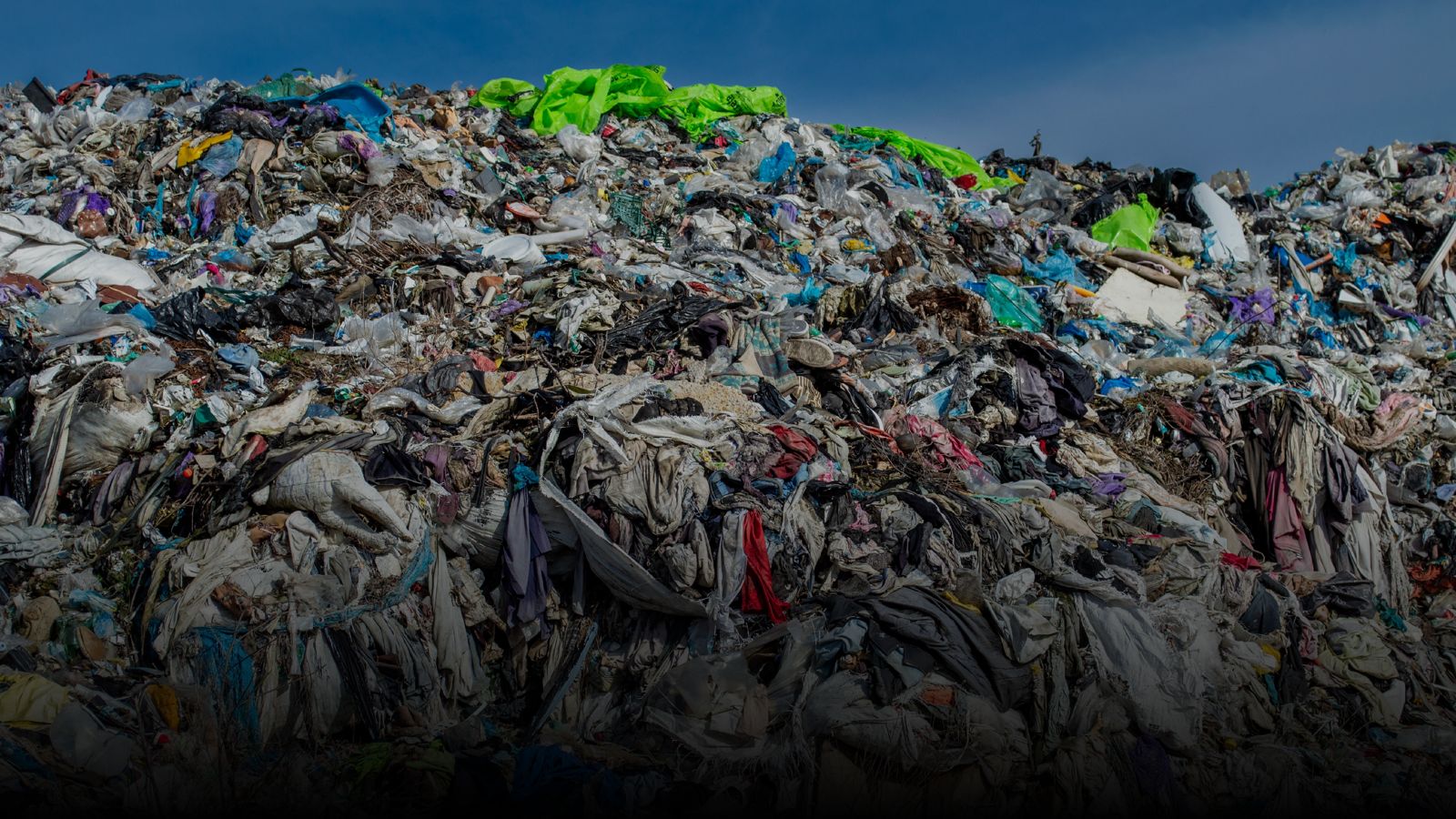 Globalisation and its Discontents