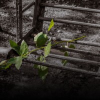 The Angstrose and The Waning Season of Western Technocracy